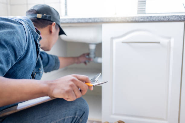 Best Local Plumber Services  in Loves Park, IL