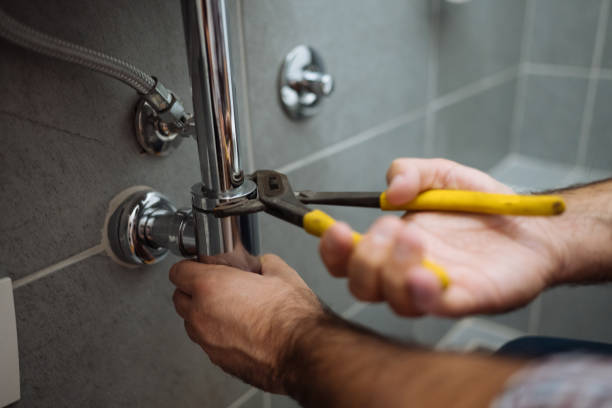 Best Plumbing Inspection Services  in Loves Park, IL